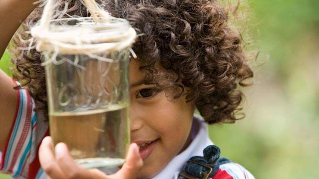 What are Impact Funds? Why Give?